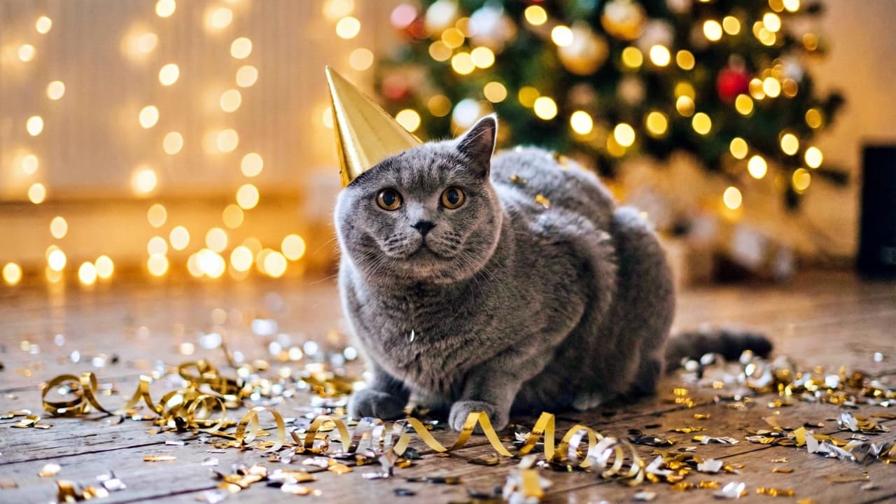 An AI-generated festive photo of a cute cat wearing a party hat surrounded by glitter and confetti.