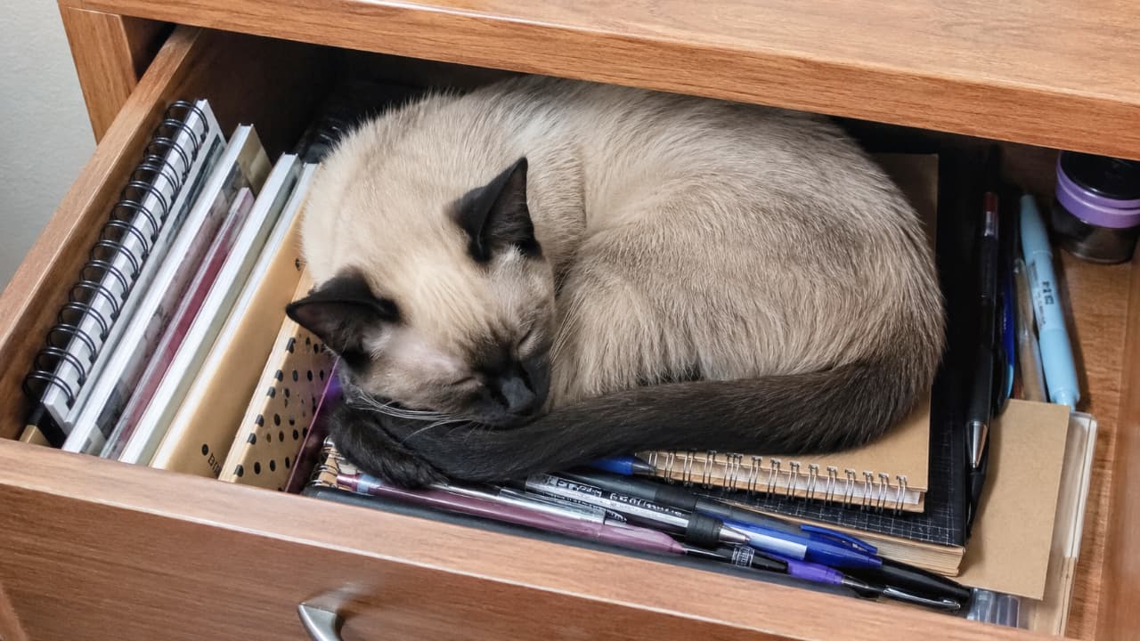 Ultra-realistic high-quality photograph of a Siamese cat curled up and sleeping peacefully inside a slightly open wooden desk drawer, using notebooks and pens as a makeshift bed. Shows the adorable feline habit of loving tight spaces.
