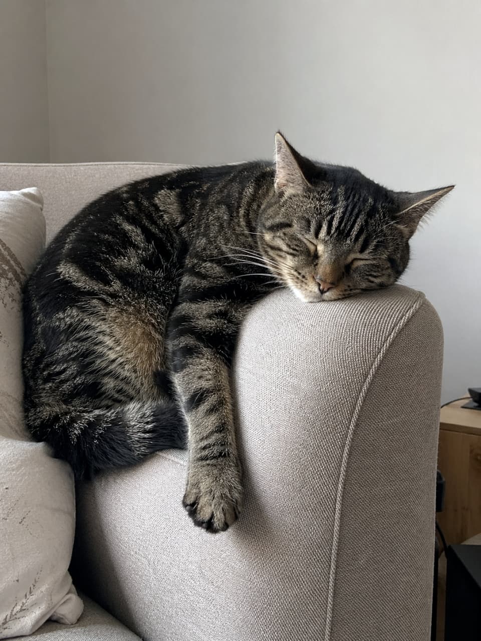 「ソファの定位置ですやすや夢の中…🐾 どんな夢を見ているのかな？💭✨ 一緒にお昼寝したくなっちゃう🐈💤」Ultra-realistic high-quality photograph of a tabby cat sleeping curled up on the edge of a beige sofa, front paw dangling, in a quiet room. ソファの背もたれに寄りかかり、丸くなって眠るキジトラ猫。リラックスして前足をだらんと下げている、静かな部屋の日常風景