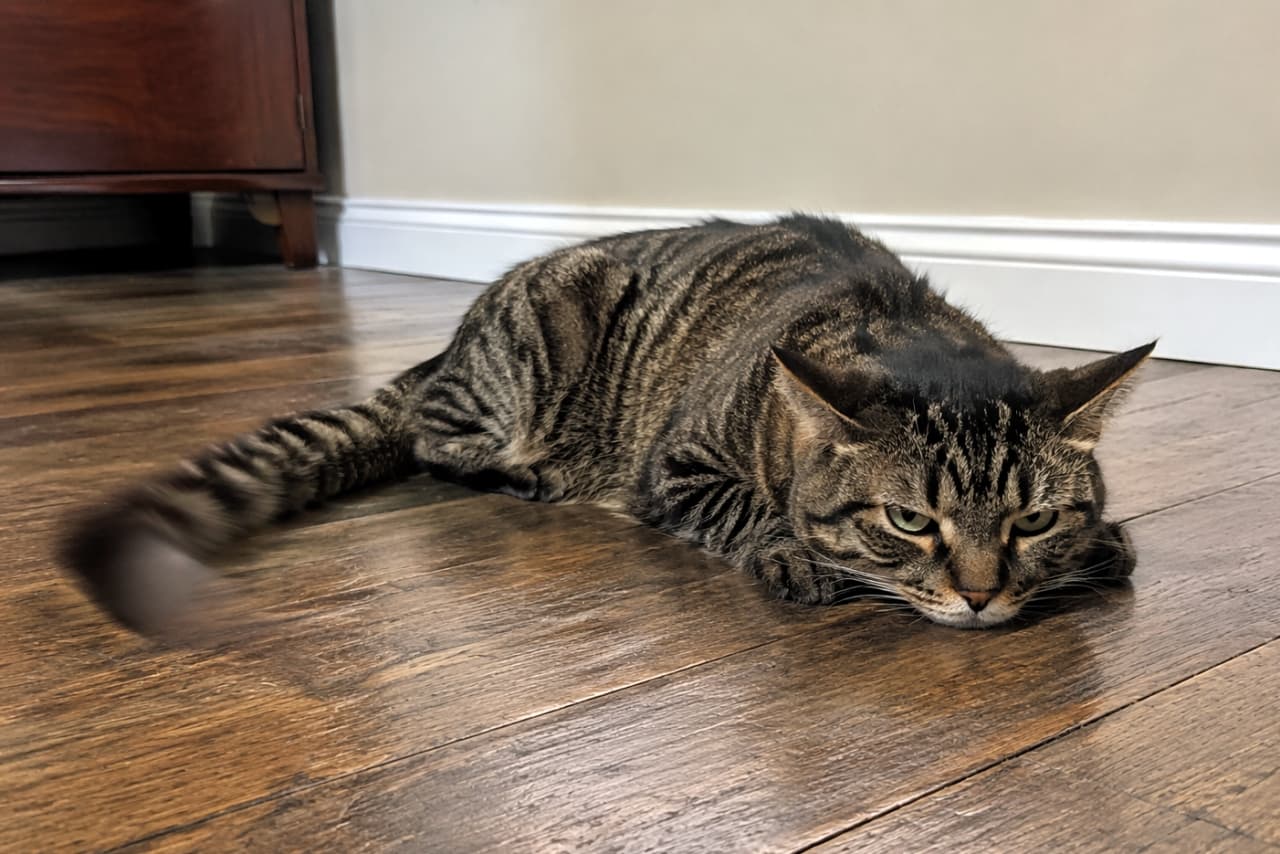 「今日はなんだか退屈にゃ〜ん🐱💦 床の冷たさが気持ちいい、まったりタイム🕰️ #猫好きさんと繋がりたい #キジトラ」Ultra-realistic high-quality photograph of a tabby cat lying flat on a wooden floor with a slightly bored expression, capturing a casual everyday moment. 木目の床にうつ伏せで寝そべり、少し退屈そうな表情を浮かべるキジトラ猫の高画質写真。日常の何気ない一コマを切り取った自然な構図