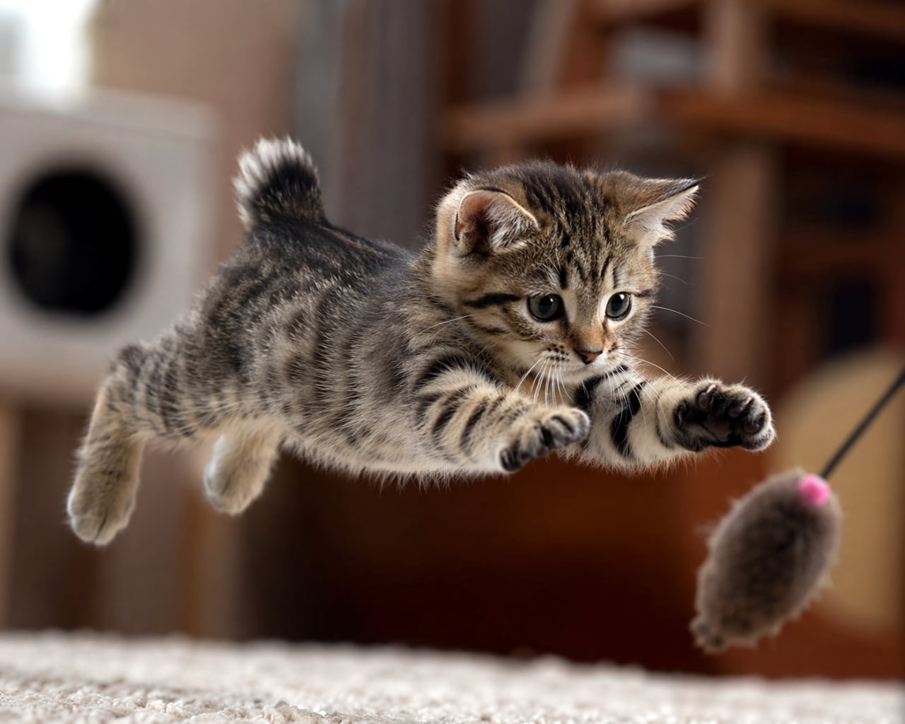 「とうっ！🐭💨おもちゃめがけて大ジャンプ！元気いっぱいな子猫ちゃんの決定的瞬間をパシャリ📸✨」Ultra-realistic high-quality photograph capturing the exact moment a tabby kitten jumps mid-air with paws outstretched to catch a mouse toy in a living room. 室内でおもちゃのネズミに向かって見事なジャンプを見せる、両手足を広げて空中に浮かんだ瞬間のキジトラ子猫のリアルな高画質写真