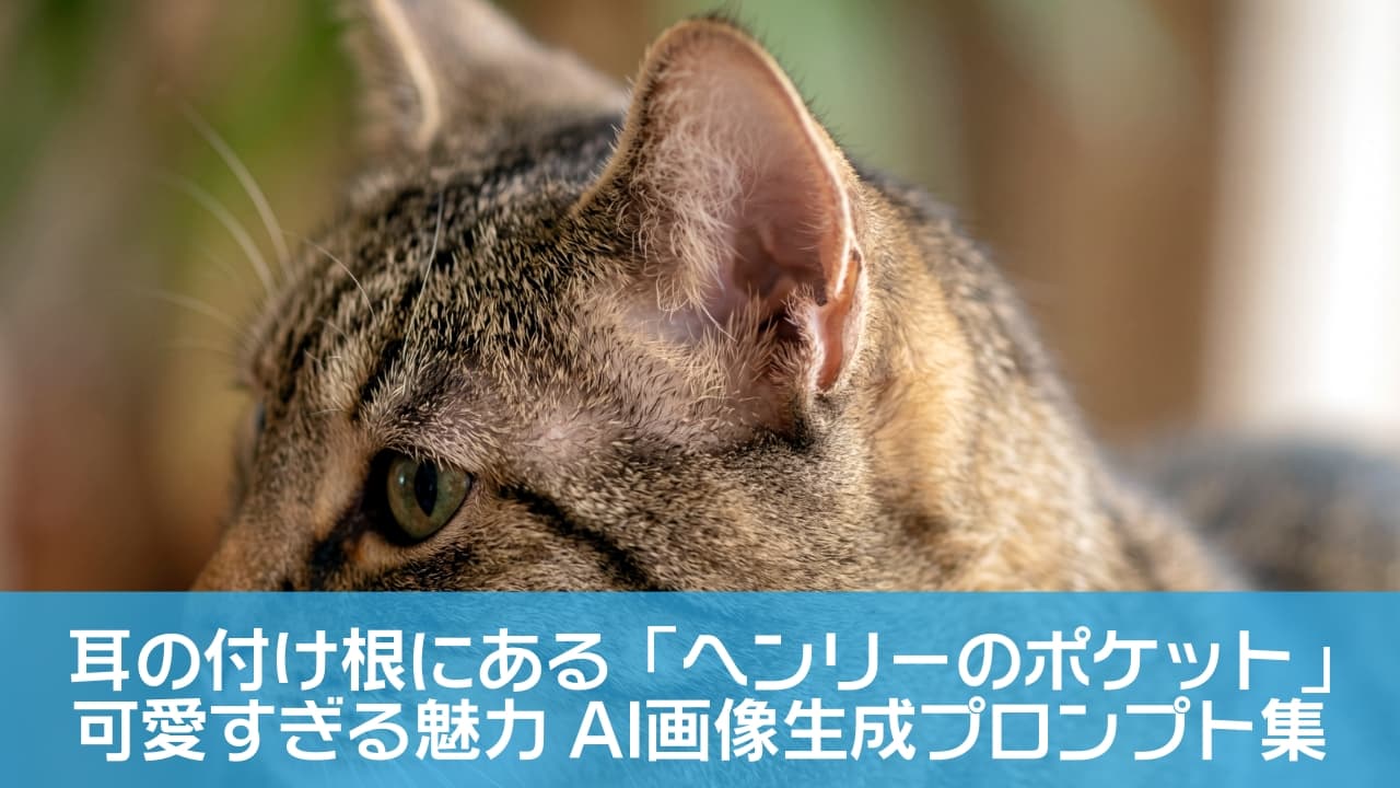 「耳のふちにある、この不思議なポッケ知ってる？🐱✨「ヘンリーのポケット」って言うんだよ！ #猫のいる暮らし #猫の秘密 #キジトラ #ヘンリーのポケット」Ultra-realistic high-quality macro photograph of a tabby cat's head and shoulders, slightly angled to clearly reveal the marginal cutaneous pouch (Henry's pocket) at the outer base of its ear. Soft, warm natural lighting highlights the delicate skin and fine fur texture of the ear base, with a smoothly blurred natural background for depth of field. 柔らかい自然光の中で、キジトラ猫の横顔を捉えたクローズアップ写真。耳の付け根の外側にある、皮膚のたるみのような独特な構造「 marginal cutaneous pouch (Henry's pocket)」（ヘンリーのポケット）がはっきりと描写されている。耳のふちの繊細な皮膚や細かい毛の質感が鮮明で、背景は自然なボケ味がある高画質な写真