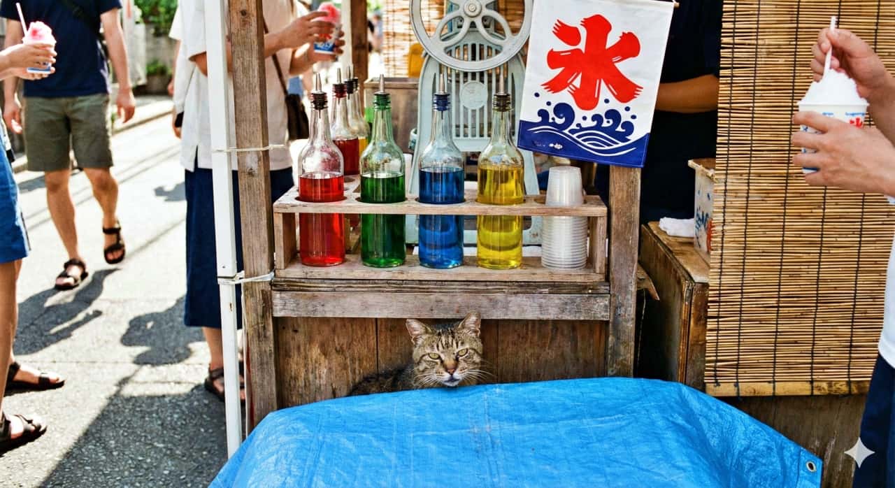 A stray cat peeks from under a summer shaved ice stall, partially hidden behind a blue tarp, with a curious expression; above it, seven glass bottles of bright red, green, blue, and yellow syrups line a wooden shelf near a traditional ice shaver, a hanging “氷” sign, and people holding shaved ice cups in a lively market scene. 夏のかき氷屋台の棚の下、青いシートの陰から野良猫が好奇心たっぷりに顔をのぞかせている。頭上には赤・緑・青・黄のシロップ入りガラス瓶が7本並び、昔ながらの氷削機と大きな「氷」旗、周囲にはかき氷を手にした人々が行き交うにぎやかな雰囲気