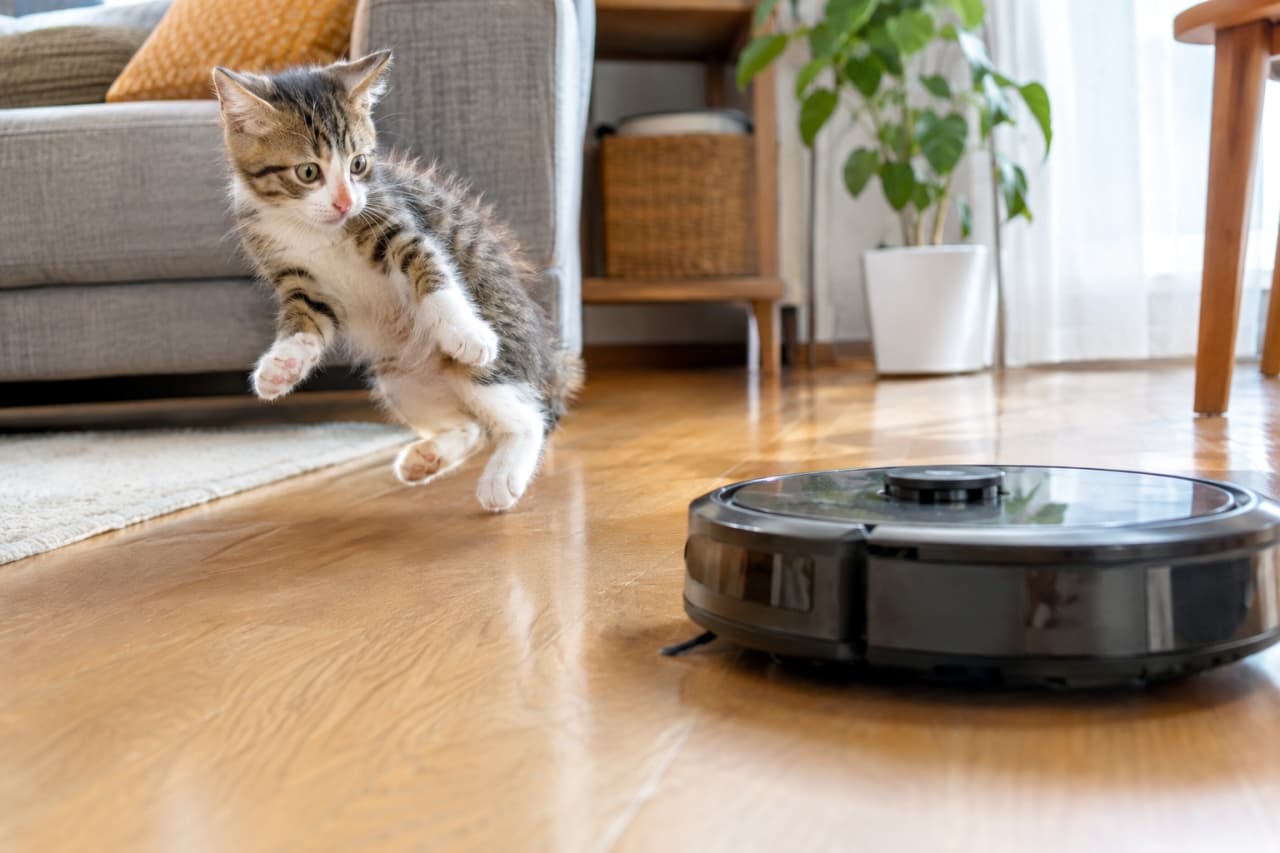 「にゃんだこいつはー！？💥 ロボット掃除機との初遭遇で、見事な大ジャンプを披露する子猫ちゃん😹 #猫のいる暮らし #子猫 #おもしろ猫 #にゃんすたぐらむ」Ultra-realistic high-quality photograph capturing a brown tabby and white kitten jumping high in the air, startled by a black robot vacuum cleaner operating on a wooden floor. Its wide eyes and perked ears show clear surprise. The bright background features a grey sofa, plants, and wooden furniture. フローリングの床で、稼働中の黒いロボット掃除機に驚き、四つ足を広げて空中に飛び上がっているブラウンタビー＆ホワイトの子猫。見開いた目とピンと立った耳から驚きが伝わる。背景にはグレーのソファ、観葉植物、木製家具があり、明るい日差しが差し込んでいる