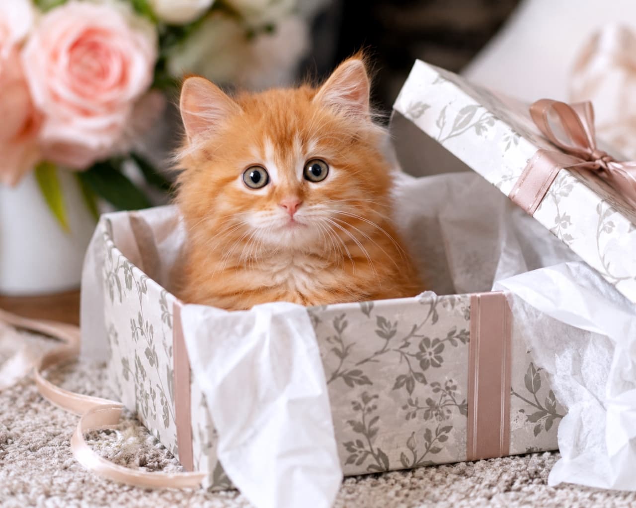 「まるで妖精さんみたい🧚‍♀️✨お花とギフトボックスに囲まれた至福のひととき🐈💕」Ultra-realistic high-quality photograph of a ginger kitten inside an elegant floral gift box with pink roses in the background. エレガントな花柄の箱に入った茶トラの子猫。背景には淡いピンクのバラが飾られ、上質な雰囲気が漂う
