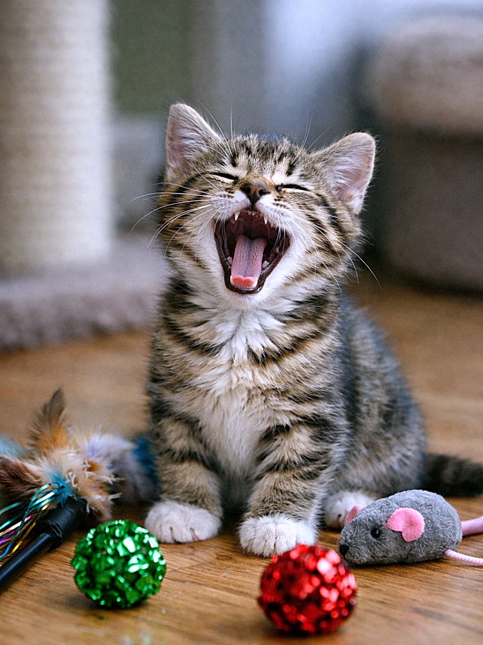 「遊びきった戦士のごほうびタイム。おもちゃの山で達成感いっぱいの大あくび!」A tired kitten sits on a wooden floor surrounded by scattered toys, yawning widely after an energetic playtime in soft natural light. たくさんのおもちゃに囲まれた子猫が、遊び疲れて大きなあくびをしている様子