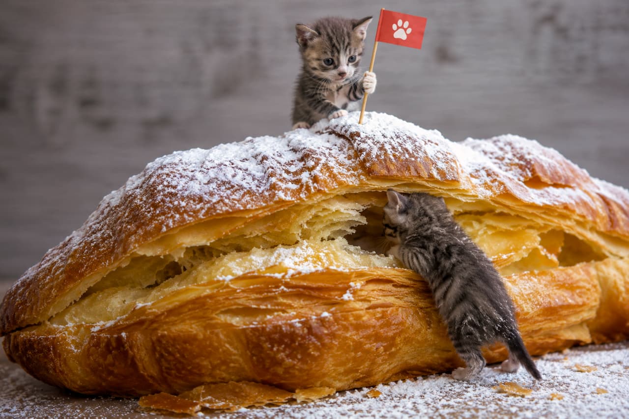「クロワッサン山、無事に登頂成功!🚩🥐サクサクの洞窟には何が隠れているかな?🐾✨ #冒険 #クロワッサン #猫のいる暮らし」Ultra-realistic high-quality photograph of two silver tabby kittens exploring a giant croissant dusted with powdered sugar. One proudly plants a red paw-print flag on the summit, while the other sneaks into a crevice in the flaky pastry. The intricate layers of the bread and fluffy fur are rendered realistically. 粉砂糖がまぶされた巨大なクロワッサンを探検する2匹のサバトラ子猫。頂上で赤い肉球マークの旗を誇らしげに掲げる子と、サクサクの生地の隙間(洞窟)に潜り込もうとする子。層になったパンの緻密な質感と、ふわふわの被毛がリアルに描写されています