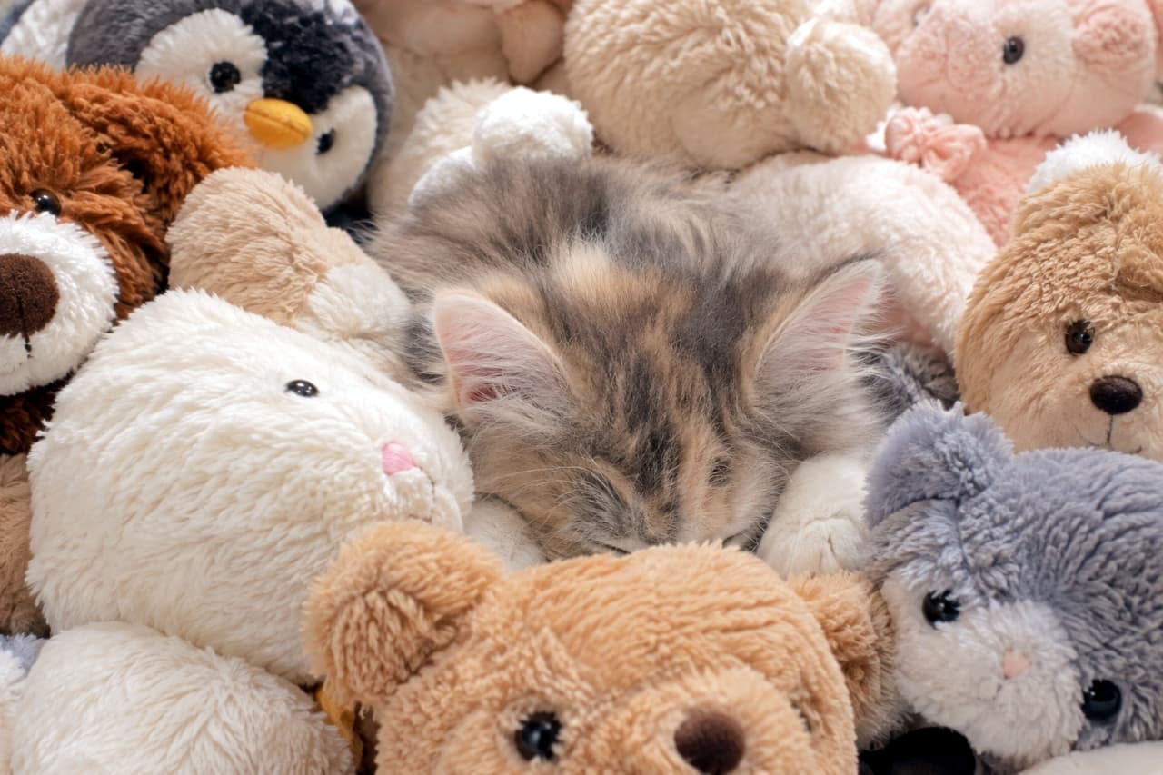 「どっちがぬいぐるみ？ふわふわのお友達に囲まれて夢の中へ…おやすみなさい🧸🐈✨ #猫のいる風景 #にゃんすたぐらむ」Ultra-realistic high-quality photograph of a long-haired calico kitten sleeping peacefully, completely surrounded by various soft plush toys like bears, bunnies, and a penguin in warm pastel tones. たくさんの可愛いぬいぐるみに囲まれてスヤスヤと眠る、長毛の三毛猫（キャリコ）の子猫。パステルカラーの柔らかい毛並みが周囲のふわふわなクマやウサギ、ペンギンのぬいぐるみと見事に溶け込んでおり、非常に優しく温かみのある情景