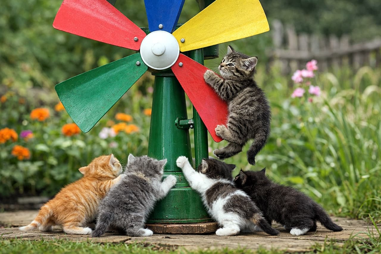 「ちびねこ全員集合！力を合わせて風車ぐるぐる大作戦🐾✨」Six tiny kittens work together to push a large colorful garden windmill, while one kitten climbs halfway up the pole in a sunny garden. カラフルな庭の風車を回そうと、6匹の小さな子猫たちが力を合わせて押し、1匹が途中までよじ登っている様子