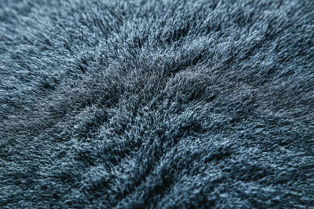 A photorealistic macro shot of blue-gray British Shorthair fur, showing dense, velvety texture with soft lighting that highlights individual hairs and subtle shadows. ブルーグレーのブリティッシュショートヘアの毛皮を写したフォトリアルなマクロ写真。密でベルベットのような質感が、柔らかな光によって毛の一本一本と繊細な陰影が際立っている