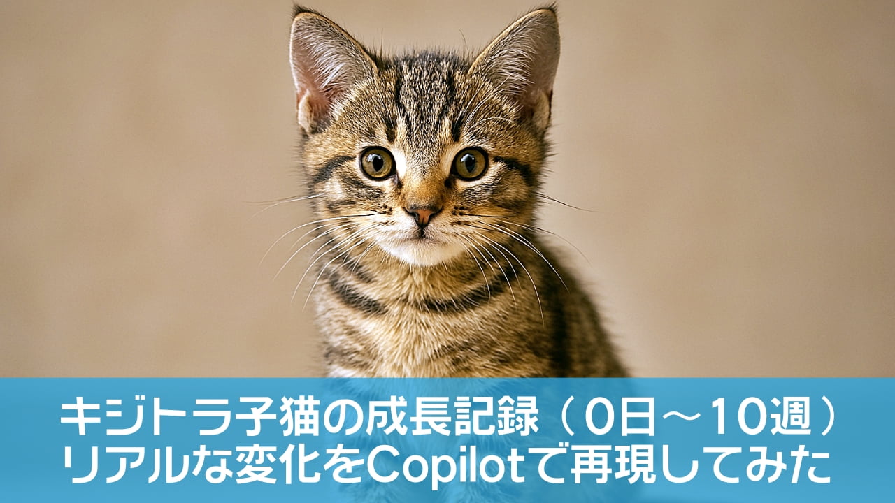 「ふわっと光に包まれて、きみの世界がやさしく広がる」A wide horizontal photograph of the same brown mackerel tabby domestic shorthair kitten, sitting calmly in soft natural indoor light. The kitten is centered in the frame, with a shallow depth of field and a warm beige background. The lighting highlights the tabby’s distinct mackerel stripes, round eyes, and short dense coat. No text is present, and the overall style is clean, realistic, and natural. 同じ個体のブラウン・マッカレルタビーの短毛種子猫が、柔らかな自然光の室内で静かに座っている横長構図の写真。子猫は中央に配置され、浅い被写界深度と温かいベージュの背景が特徴。マッカレル模様の縞や丸い目、短く密な被毛が自然光で美しく際立っている。文字要素はなく、全体はクリーンでリアルな描写