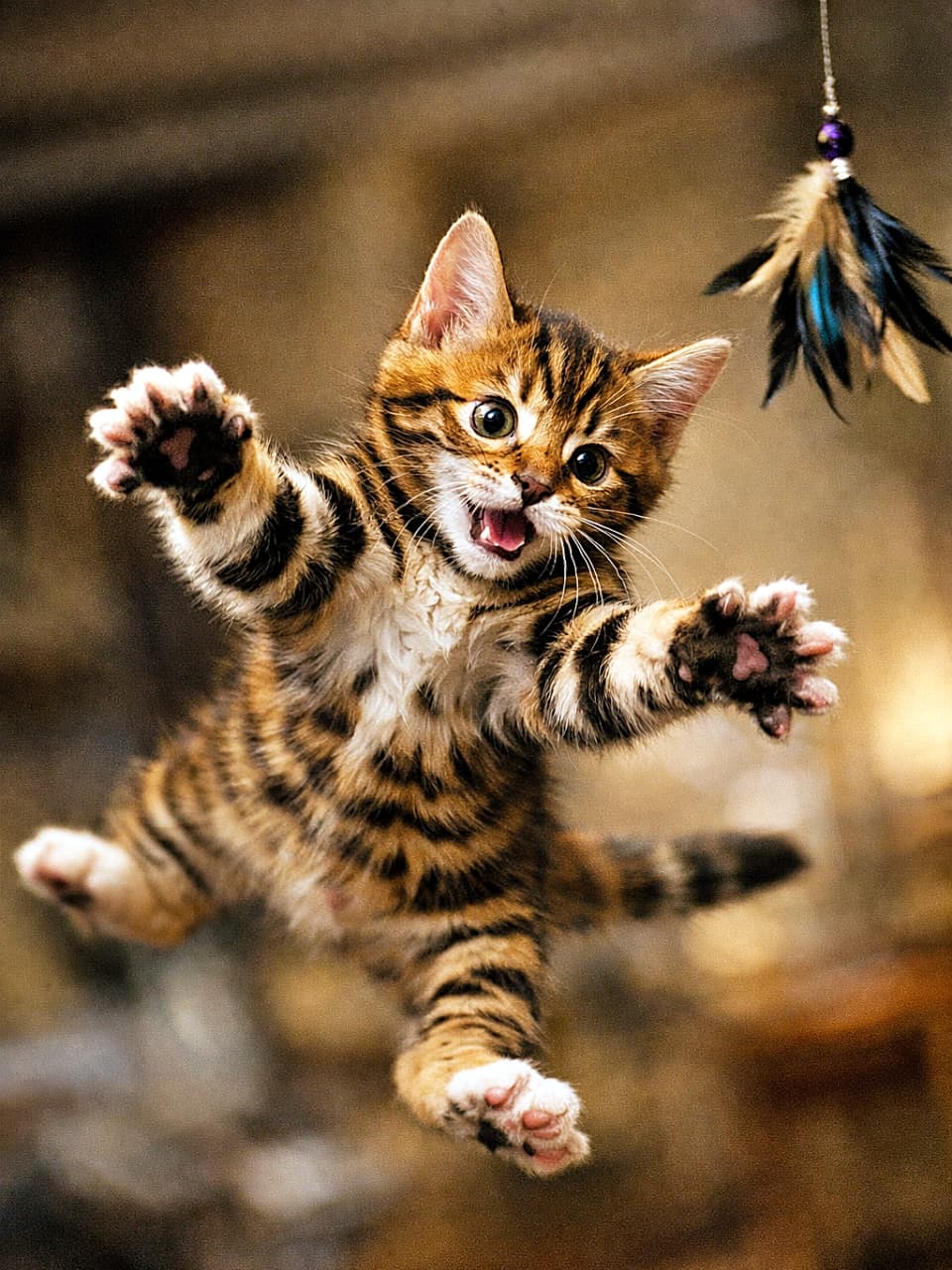 「空中大暴走!羽根を狙ってジャンプしたら、可愛さが重力を突破しました🐯✨」A 3-month-old Toyger kitten jumping mid-air to catch a feather toy, paws spread wide, mouth slightly open, with dynamic motion blur and vivid tiger-like stripes. 羽根のおもちゃを捕まえようと空中にジャンプする、生後3か月のトイガーの子猫。手足を大きく広げ、口を少し開けた躍動感ある瞬間