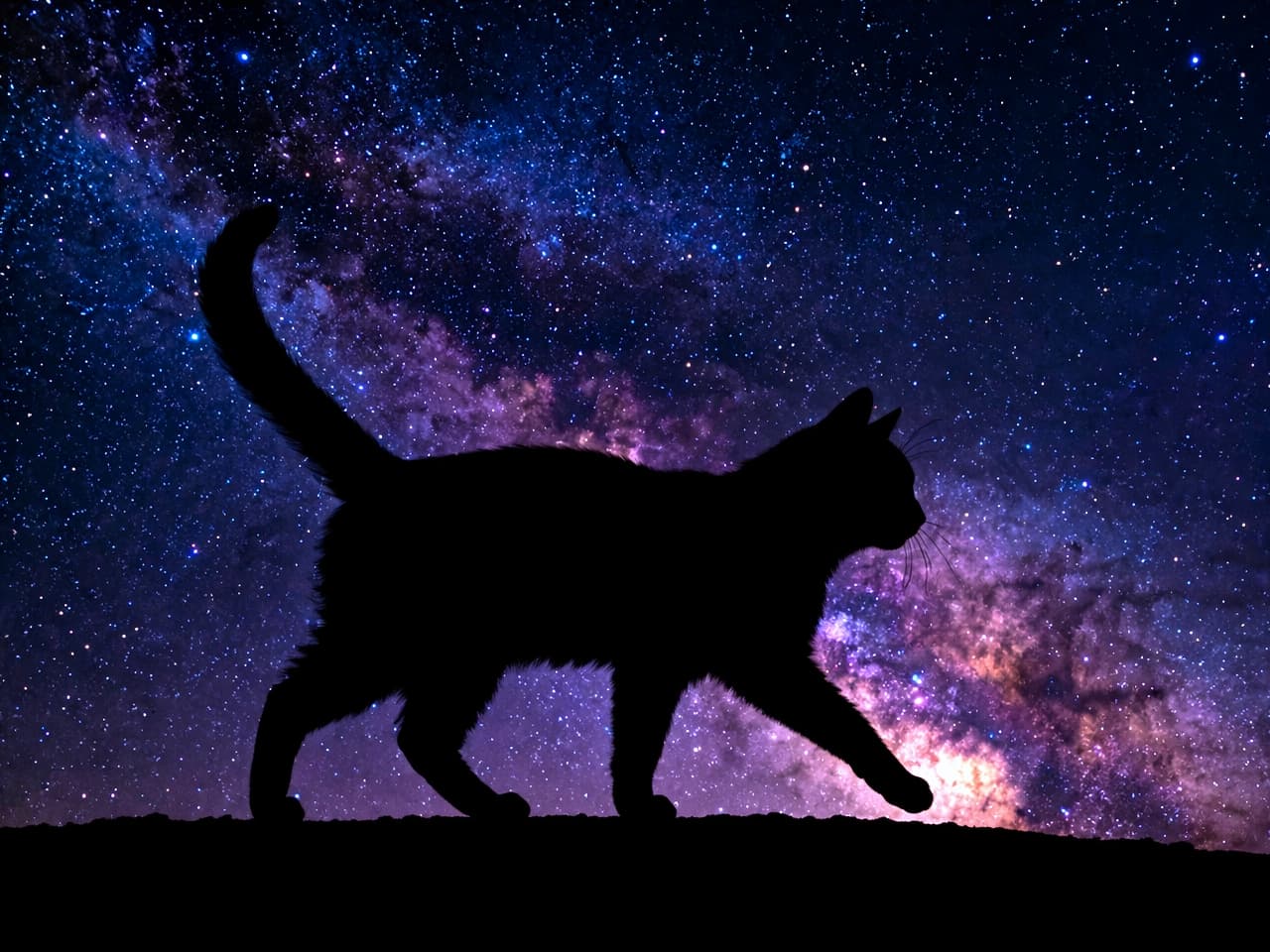 「星空のお散歩へ出発🌌✨満天の星と猫ちゃんのシルエットの組み合わせが、ロマンチックで神秘的ですね🌠🐾」Magical, ultra-realistic high-quality image of a black silhouette of a cat walking gracefully against a stunning starry night sky with the Milky Way. 紫やピンクに輝く天の川が広がる満天の星空を背景に、優雅に歩いている猫の黒いシルエットを捉えた幻想的な超高画質画像