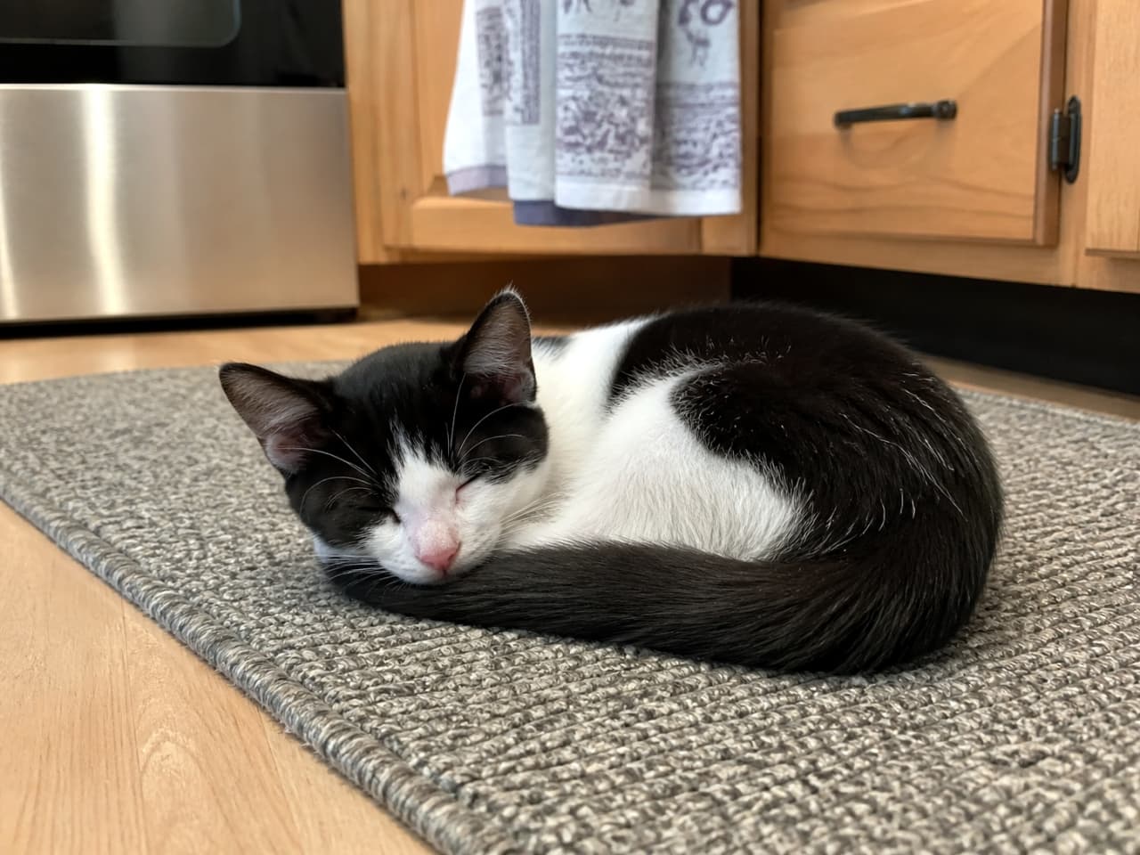「ご飯の夢でも見てるのかな？🍳 キッチンの足元でぐっすりお昼寝中のハチワレちゃん💤🐈‍⬛ #ハチワレ #子猫 #寝顔」Ultra-realistic high-quality photograph of a black and white tuxedo kitten sleeping curled up on a gray rug in a kitchen setting. キッチンのキャビネットとオーブンの前にあるグレーのラグの上で、体を丸めて眠る白黒のハチワレの子猫