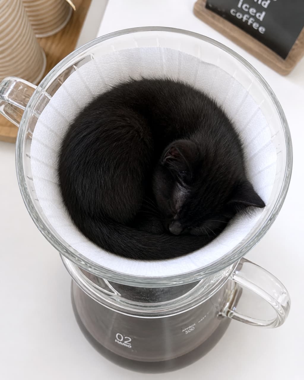 「今日のコーヒーは特別ブレンド☕️✨フィルターの中でスヤスヤ眠る黒猫ちゃんが可愛すぎて、お湯なんて絶対に注げません！🐈‍⬛💤」A small black kitten peacefully curled up and sleeping inside a clear glass coffee dripper lined with a white paper filter, resting on top of a glass carafe on a white counter. 白いカウンターの上に置かれたガラス製コーヒーサーバーにセットされた、白いペーパーフィルターを敷いた透明なガラス製コーヒードリッパーの中で、丸くなって安らかに眠る小さな黒猫の子猫