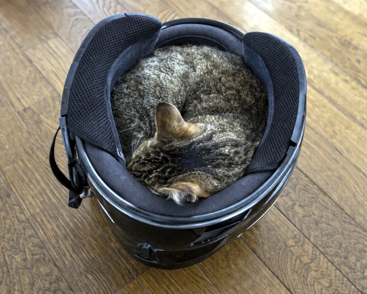 「そこが一番落ち着くの？🐱🏍️ヘルメットのふかふかクッションに包まれて、ツーリングの夢でも見ているのかな💭」Ultra-realistic high-quality photograph, angled view, of a tabby cat curled up asleep inside a black motorcycle helmet on a wooden floor, highlighting the texture of the helmet's inner padding. フローリングに置かれた黒いバイク用ヘルメットの中で丸まって眠るキジトラ猫を少し斜めの角度から撮影した高画質写真。ヘルメットの黒い外装と内側のメッシュクッションの質感がリアルに表現されている