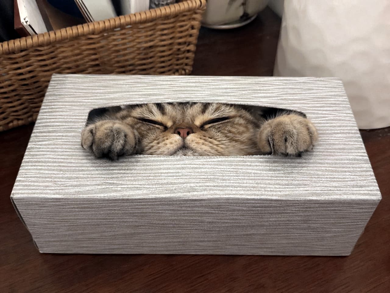「ティッシュを取ろうとしたら…可愛いサプライズ！📦💤 すやすや眠るお顔がたまりません💕」Ultra-realistic high-quality photograph of a tabby cat sleeping inside a tissue box, with only its face and front paws sticking out of the opening. The background shows a cozy, everyday room setting with a woven basket and books. ティッシュボックスの取り出し口から顔と両前足だけを出して、目を閉じて眠っているキジトラ猫のリアルな写真。背景には編みカゴや本などがぼんやりと映る、日常的で落ち着いた空間