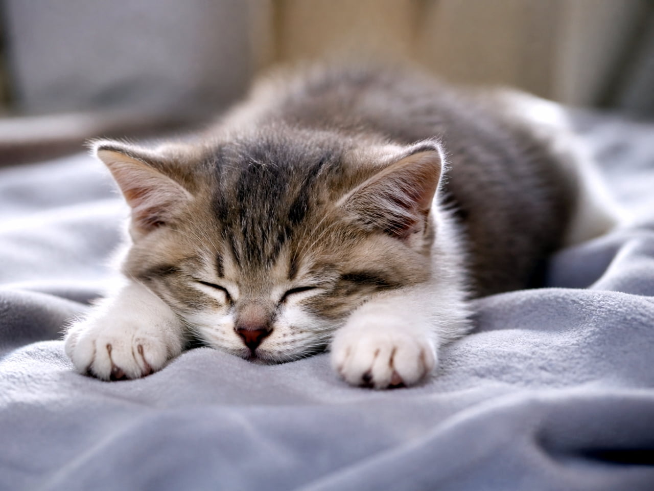 「毛布と一体化しちゃいました☁️💤 とろけるような寝顔に、こっちまで眠くなっちゃいそう…🐾 #お昼寝猫 #冬の幸せ」Ultra-realistic high-quality photograph of a tabby kitten sleeping deeply and sinking into a soft grey fleece blanket, capturing a moment of pure serenity. グレーの柔らかなフリース毛布に埋もれ、深く眠り込むキジトラの子猫。顔を毛布に預け、安心しきった表情を捉えたマクロ撮影風の画像