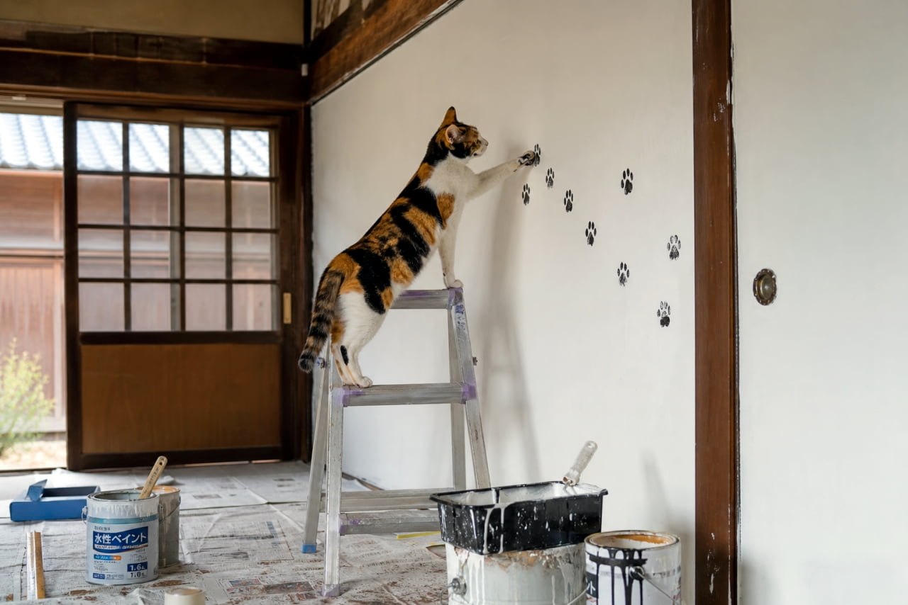 「高いところもお手の物!アルミ脚立を使いこなしてスタイリッシュに肉球アートを仕上げる三毛猫アーティスト🐈⬛🎨」An ultra-realistic high-quality photograph of a talented calico cat stretching upwards while standing on an aluminum stepladder to print black paws high up on a clean white wall. 和室の白い壁の前で、アルミ製の脚立の上から2段目に後ろ足で立ち、背を伸ばして高い位置に黒い肉球スタンプを押している三毛猫。床には新聞紙が敷かれ、ペンキ缶やトレイが置かれている