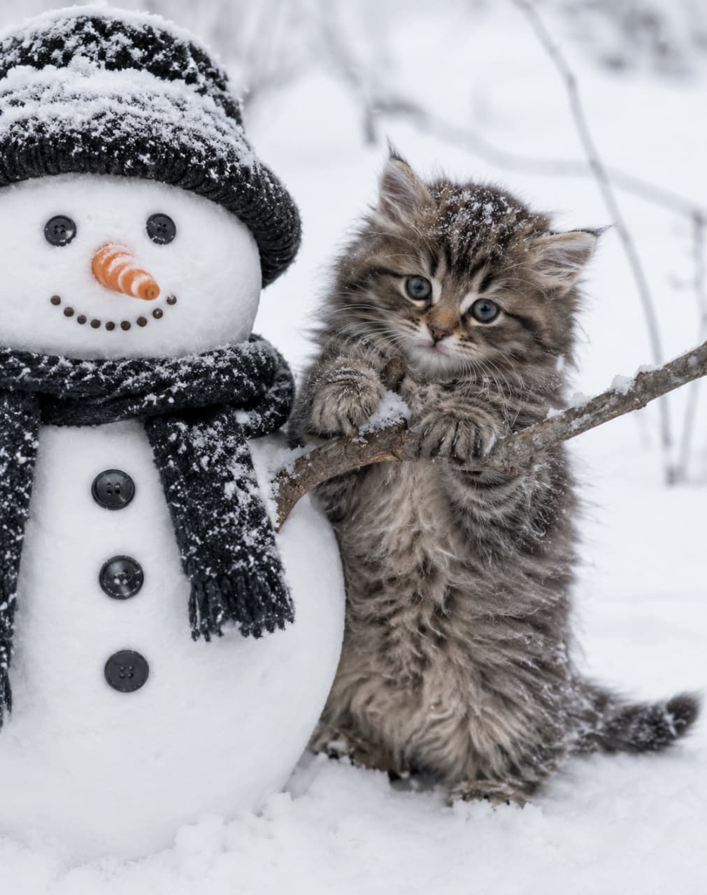 「新しいお友達ができたにゃ!⛄️雪の中で雪だるまさんと秘密の会議中なノルウェージャンフォレストキャットちゃん❄️ #子猫のいる暮らし」Ultra-realistic high-quality photograph of a fluffy Norwegian Forest Cat kitten standing in the snow next to a friendly snowman wearing a knitted hat and scarf. The kitten is holding onto the snowman's stick arm, with light snow dusting its long brown tabby coat, creating a magical winter wonderland scene. 一面に広がる真っ白な雪景色の中、可愛い帽子とマフラーを巻いた雪だるまの「木の枝の腕」に両前足で行儀よくつかまり立ちをしている、ノルウェージャンフォレストキャットの子猫。ブラウンタビーの長毛の被毛にはうっすらと雪が積もっており、寒さに負けないキラキラとした好奇心旺盛な瞳でこちらを凝視している、ドラマチックで幻想的な冬の高画質写真