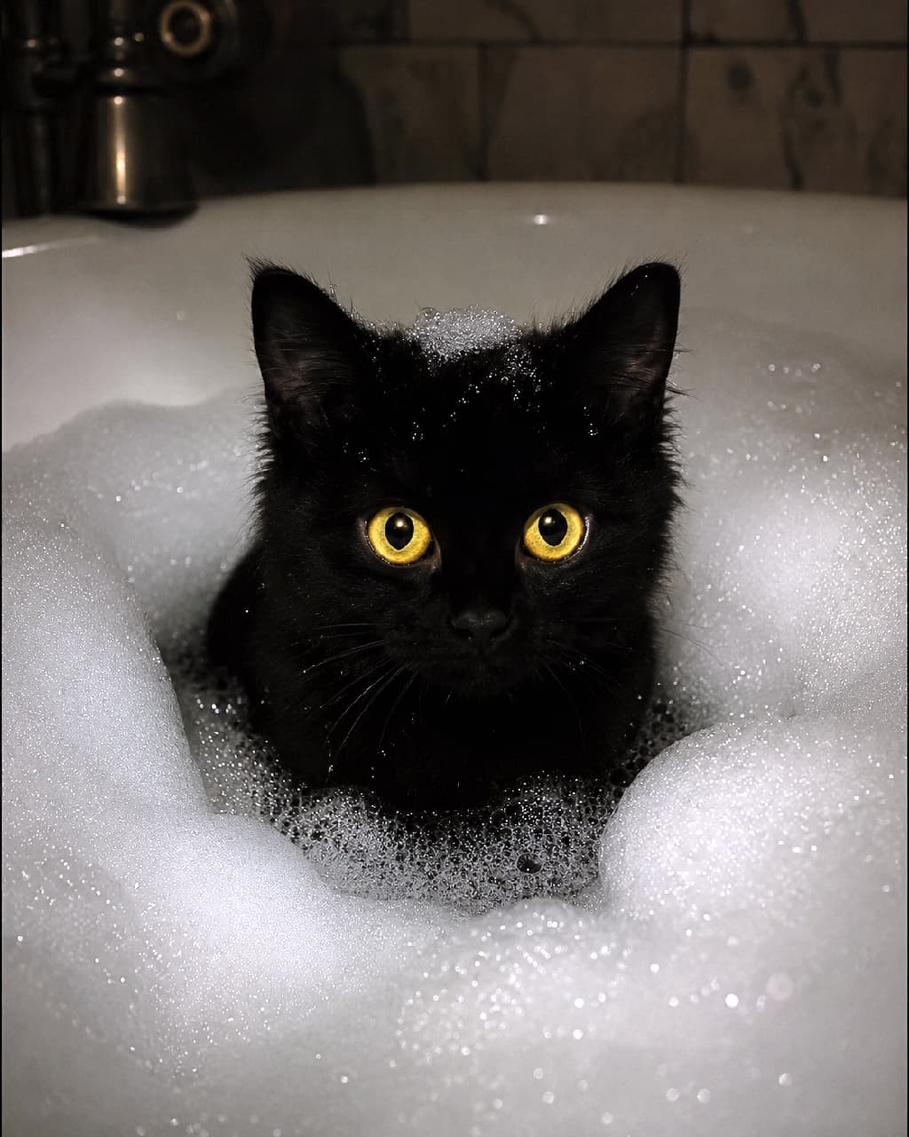 「泡風呂に隠れてるの、だーれだ？👀🖤 真ん丸なゴールドの瞳に吸い込まれそう…✨ #黒猫 #お風呂タイム #猫のいる暮らし」Ultra-realistic high-quality photograph of a cute black kitten peeking out from a thick white bubble bath in low light, highlighting the striking contrast between its dark fur and large, glowing yellow-gold eyes. 薄暗いバスルームの中、真っ白な泡風呂から顔だけを覗かせる黒猫の子猫。漆黒のフワフワな被毛と、暗闇に浮かび上がるような大きく輝くイエローゴールドの丸い瞳のコントラストが美しく、神秘的で愛らしい雰囲気を醸し出しています