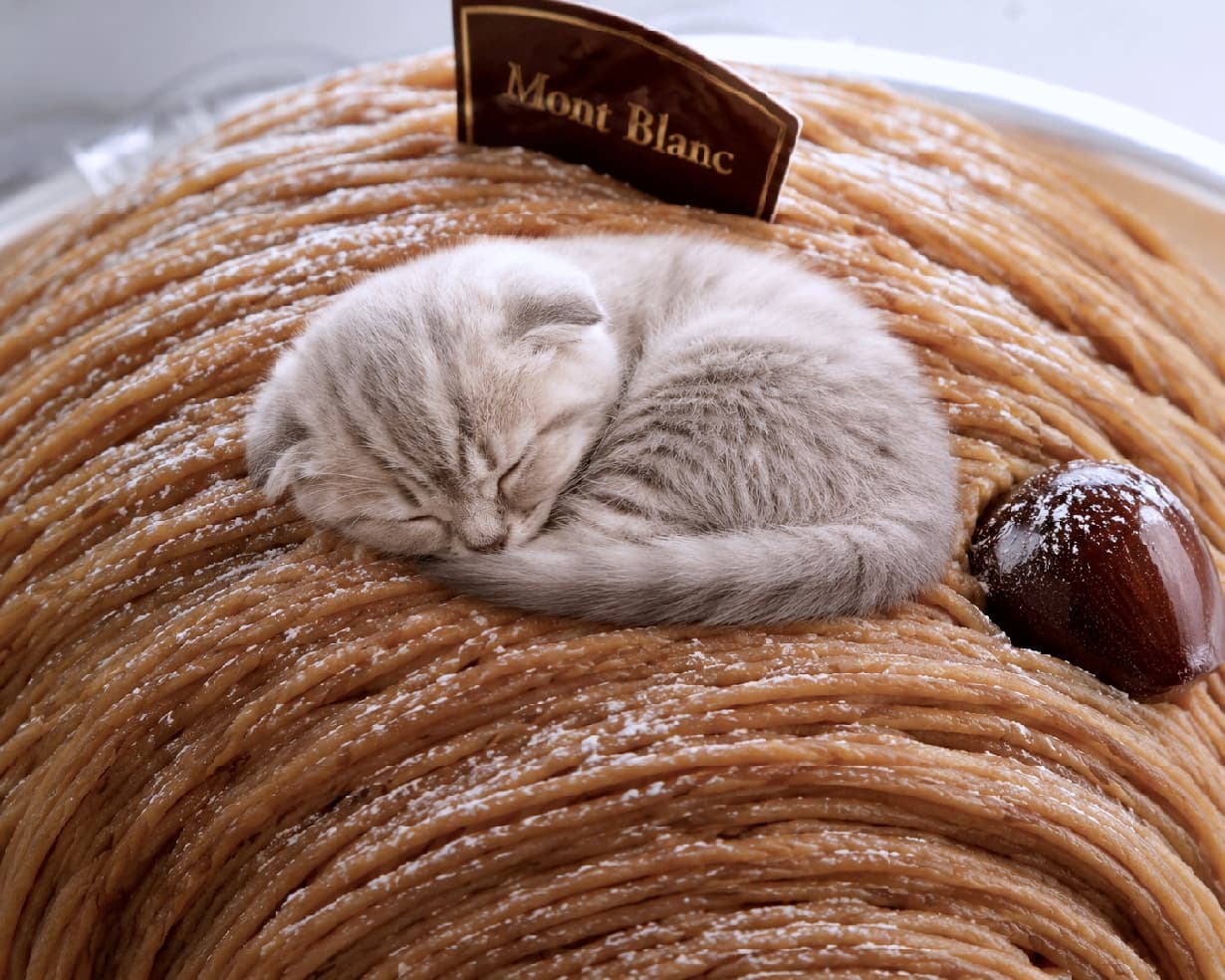 「モンブランの山頂でおやすみなさい🌰💤 折れ耳がキュートな子猫ちゃんの、秋色リラックスタイム🍂🐈 #スコティッシュフォールド #モンブラン #猫のいる暮らし #スイーツと猫」Ultra-realistic high-quality photograph of a silver tabby Scottish Fold kitten curled up asleep on a Mont Blanc cake. The folded ears and chic brown tones create an elegant and cozy visual. 栗のクリームが美しく絞られたモンブランケーキの上で、アンモナイトのように丸まって眠るスコティッシュフォールドの子猫。特徴的な折れ耳とシルバータビーの美しい被毛が、ケーキのシックなブラウンカラーと上品に調和しています