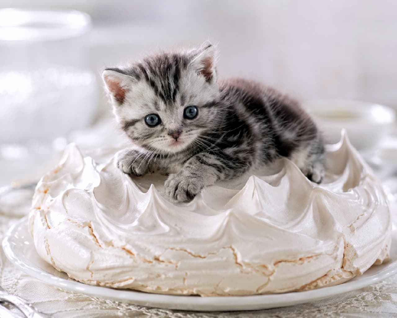 「まるでタルトのトッピング🍓 丸まって眠る子猫ちゃん、可愛すぎて食べられません！🐈✨ #ねこのきもち #ねこすたぐらむ #癒やし画像 #猫好きさんと繋がりたい #サバトラ猫 #パブロバ #子猫のいる生活 #スイーツと猫」Ultra-realistic high-quality photograph of a silver tabby kitten resting peacefully on a giant, beautifully swirled white meringue pavlova, set against an elegant lace background with bright, high-key lighting. レースのテーブルクロスの上に置かれた、純白で波打つようなデザインの巨大なメレンゲ菓子（パブロバ）の上で、リラックスしてくつろぐアメリカンショートヘア風のシルバータビーの子猫。明るくハイキーな照明が、メレンゲのサクッとした質感と子猫の美しい縞模様を引き立てています