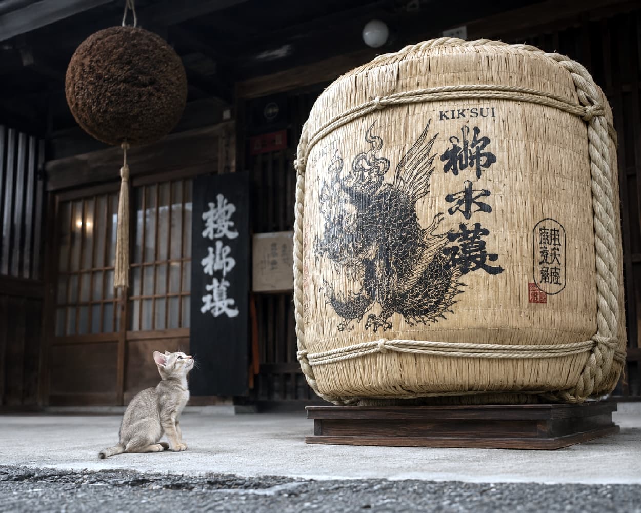 「杉玉の下で立派な菰樽を見上げて…👀🍶 大きくなったら立派な看板猫になるニャ🐈✨ #酒蔵 #シンガプーラ #子猫のいる生活」Ultra-realistic high-quality photograph of a tiny Singapura kitten sitting gracefully and looking up at a massive traditional sake barrel wrapped in straw with a dragon motif. Set in front of a historic Japanese sake brewery, highlighting traditional architecture and serene atmosphere. 歴史を感じさせる日本の伝統的な酒蔵の前で、龍の絵が描かれた巨大な菰樽(こもだる)を凛とした姿勢で見上げる小さなシンガプーラの子猫。しなやかなティックドタビーの被毛と、上を見つめる好奇心旺盛な横顔が、杉玉の吊るされた趣ある和の風景に溶け込んでいます