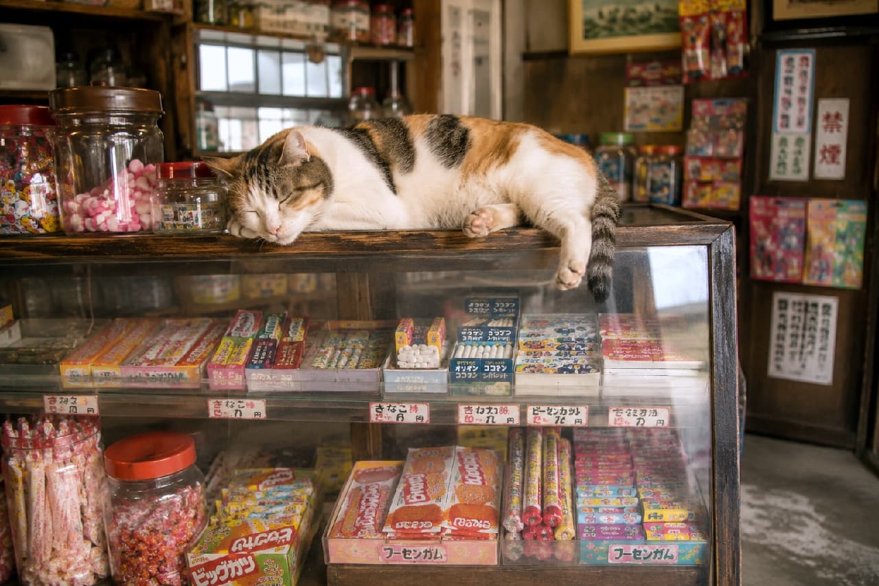 「看板猫のお仕事は…すやすや眠ることニャ💤 駄菓子屋さんで最高の午後のお昼寝タイム！ #駄菓子屋猫 #すやすや部」Ultra-realistic high-quality photograph of a calm calico cat peacefully napping on top of a vintage glass candy display counter in a nostalgic Japanese traditional sweets shop filled with retro snack boxes and glass jars. 昭和風のノスタルジックな駄菓子屋で、ガラスのショーケースの上で心地よさそうに横になって眠る三毛猫（キャリコ）。白地に茶と黒の鮮やかなブチ模様の毛並みを持ち、リラックスして前足を垂らしている。ガラス越しにはビッグカツやフーセンガムなどの懐かしいお菓子がぎっしり並び、レトロな瓶や柱の「禁煙」紙が情緒を添えるノスタルジックな情景