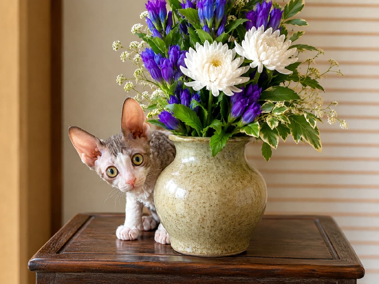 「お花の後ろでかくれんぼにゃ🌷🐾 大きなお耳とクリクリお目目が妖精さんみたいなコーニッシュレックスちゃん🧚♀️ #コーニッシュレックス #お盆のお花 #ひょっこり #日本の夏 #猫のいる夏」Ultra-realistic high-quality photograph of a curious Cornish Rex kitten with large ears and wavy fur, playfully peeking out from behind a ceramic vase filled with traditional Obon flowers like gentians and chrysanthemums. リンドウや菊などのお盆らしい仏花が活けられた陶器の花瓶の陰から、大きな耳と細かいウェーブがかった被毛を持つコーニッシュレックスの子猫がひょっこりと顔を出しています。クリクリの大きな瞳と好奇心旺盛な表情がたまらなく愛らしい一枚
