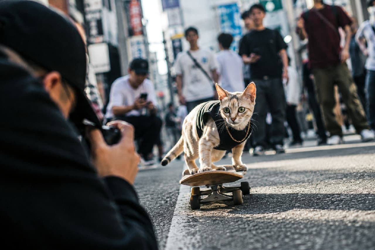 「ストリートの視線を独り占めニャ！🛹😎 スケボーを乗りこなすクールな姿をプロのカメラマンが激写中📸 かっこよすぎます✨ #シンガプーラ #スケボー猫 #ストリートスナップ #にゃんすたぐらむ #猫好きさんと繋がりたい #猫のいる暮らし」Ultra-realistic high-quality photograph of a cool Singapura cat wearing a black shirt and gold chain, skillfully riding a skateboard on a city street. A photographer in the foreground aims a camera from a low angle to capture the dynamic action, while a crowd watches in the blurred urban background. 黒いシャツとゴールドのチェーンネックレスを身につけたクールなシンガプーラ猫が、都会の舗装路でスケートボードを見事に乗りこなしている情景。周囲の群衆が驚きとともに見守る中、手前にいる黒い服のフォトグラファーがローアングルでカメラを構え、その躍動感あふれる姿を捉えようとしているストリート感満載の一枚