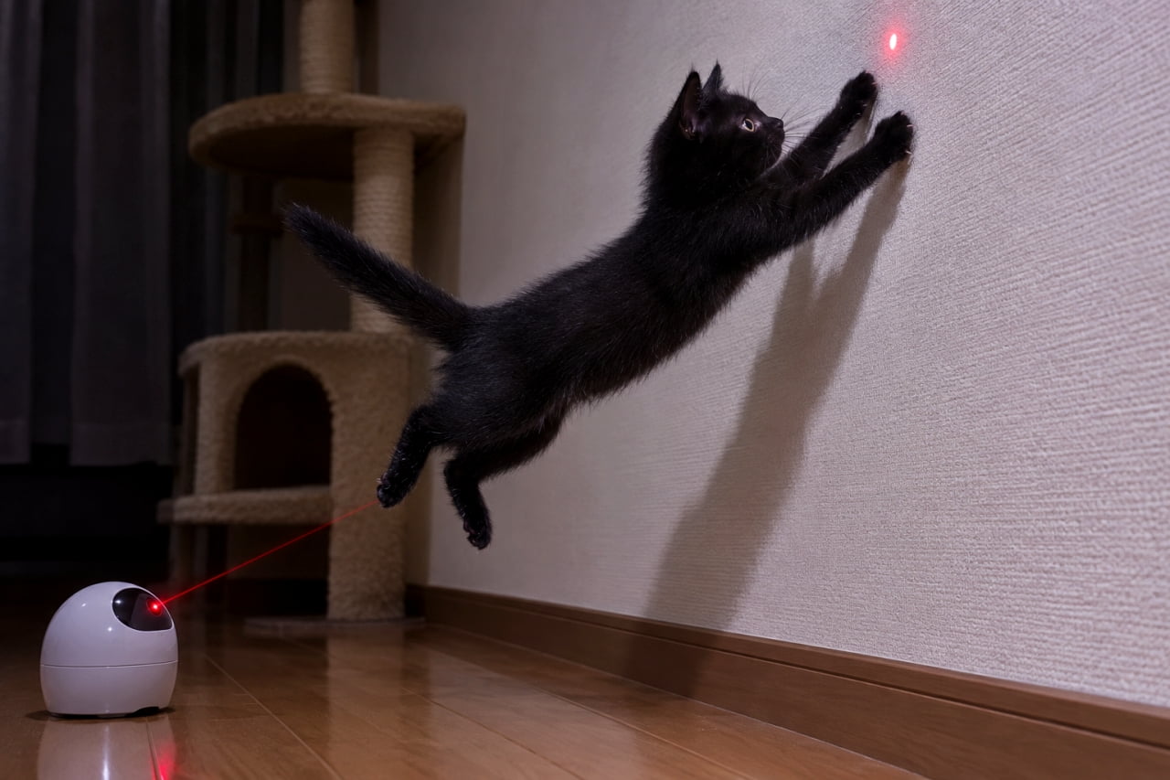 「赤い光は絶対に逃がさない!🐈⬛🔥驚異の身体能力を見せつける小さな忍者ハンターの誕生です🥷✨ #黒猫 #エンリッチメント #子猫のいる風景」Ultra-realistic high-quality photograph of an energetic black kitten leaping mid-air towards a white wall to catch a red laser pointer light emitted from a toy on the wooden floor in a dimly lit room. 薄暗い室内で、床に置かれた自動レーザーポインターから壁に照射された赤い光を追いかけ、見事な大ジャンプを見せる黒猫の子猫。艶やかな黒い被毛が宙に舞い、前足を壁の光に向けてピンと伸ばしたダイナミックな瞬間が捉えられています