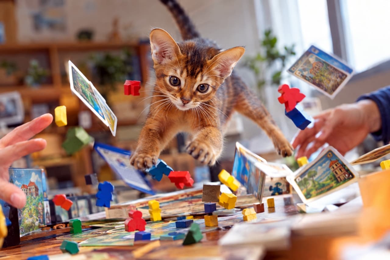 「私もゲームに混ぜてにゃー!🐈💨 盤面をひっくり返す華麗なダイブで、白熱の勝負も一瞬でゲームオーバー😭🎲」An ultra-realistic high-quality photograph of an energetic Abyssinian kitten leaping mid-air right into a board game setup, sending colorful wooden pieces and cards flying, capturing a highly dynamic and chaotic moment. 家族で楽しむボードゲームの盤面に向かって、宙を舞うように大ジャンプを繰り出すアビシニアンの子猫。空中に散らばるカラフルな木製のコマやカード、そして飼い主の驚く手が、ダイナミックな瞬間を捉えています