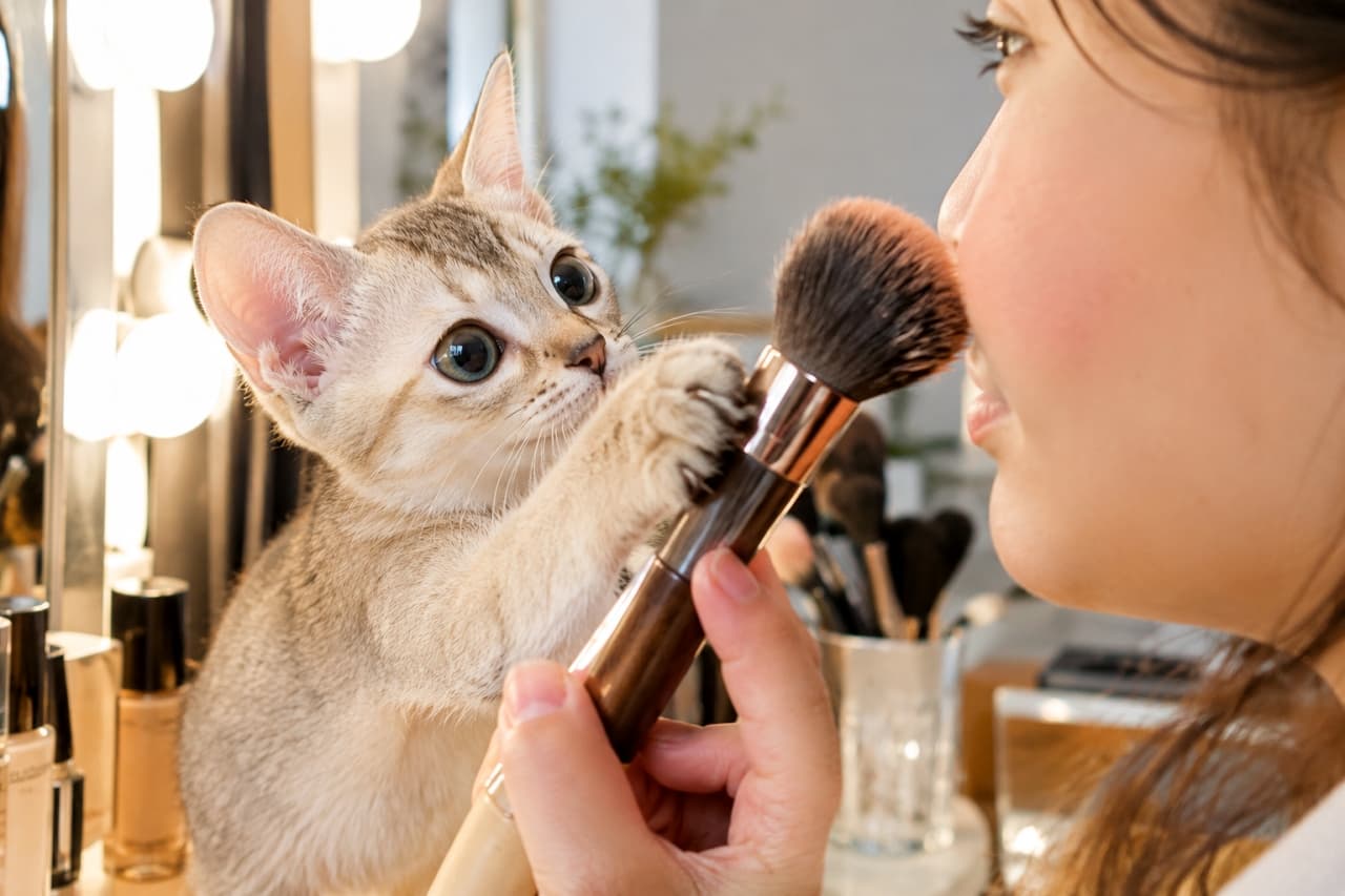 「今日のお化粧は私が手伝ってあげるにゃ🐾 ブラシを奪われて、お出かけ前のメイク時間が全く進みません😂✨」An ultra-realistic high-quality photograph of an adorable Singapura kitten grabbing a fluffy makeup brush with both paws as its owner brings it close to her face, featuring the kitten's big, curious emerald green eyes in a brightly lit vanity area. ハリウッドミラーの明るい光に照らされたメイクスペースで、飼い主が顔に近づけたふかふかのチークブラシに両前足でしがみつくシンガプーラの子猫。好奇心旺盛なエメラルドグリーンの大きな瞳が印象的